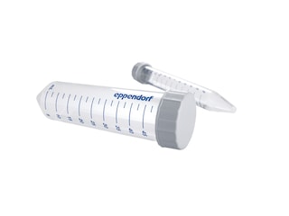 Conical Tubes 15 mL and 50 mL