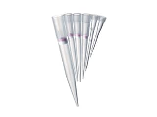 Dualfilter T.I.P.S. SealMax