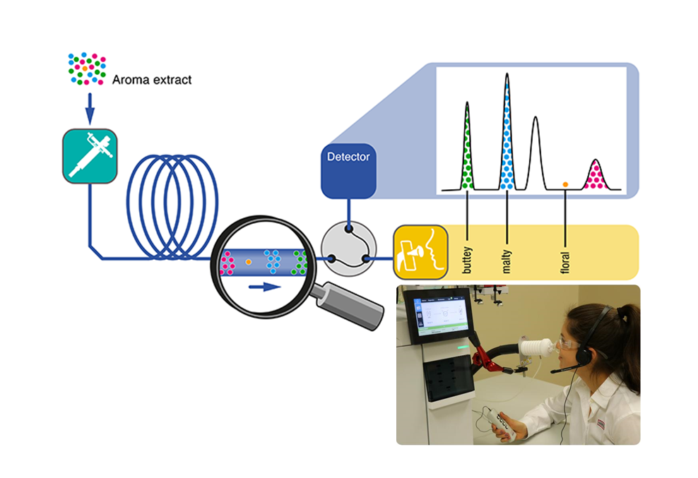 Gerstel ODP — Olfactory Detection Port